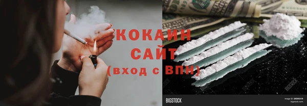 ПСИЛОЦИБИНОВЫЕ ГРИБЫ Арсеньев