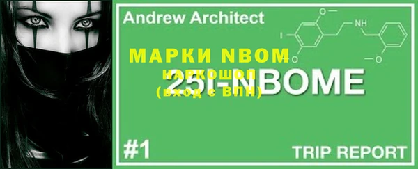 ПСИЛОЦИБИНОВЫЕ ГРИБЫ Арсеньев