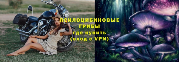 ПСИЛОЦИБИНОВЫЕ ГРИБЫ Арсеньев